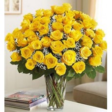 Four Dozen Premium Yellow Roses